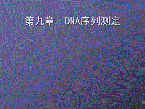 DNA序列测定PPT课件