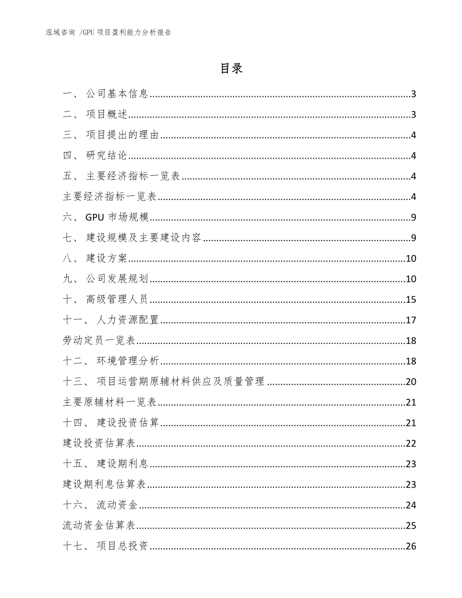 GPU项目盈利能力分析报告_模板_第1页