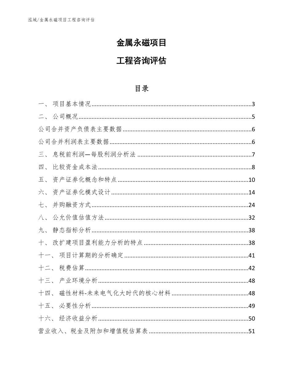 金属永磁项目工程咨询评估_第1页