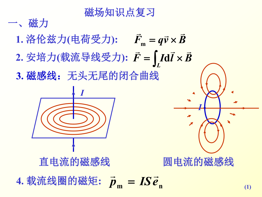 《磁场知识点复习》PPT课件_第1页