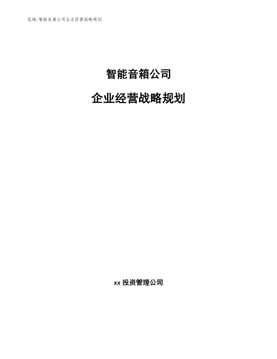 智能音箱公司企业经营战略规划_第1页