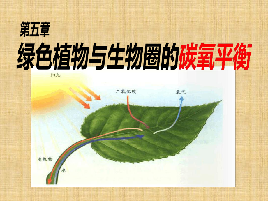 初中七年级生物上册35绿色植物与生物圈中的碳andmdash氧平衡名师优质课件1新版新人教版_第1页