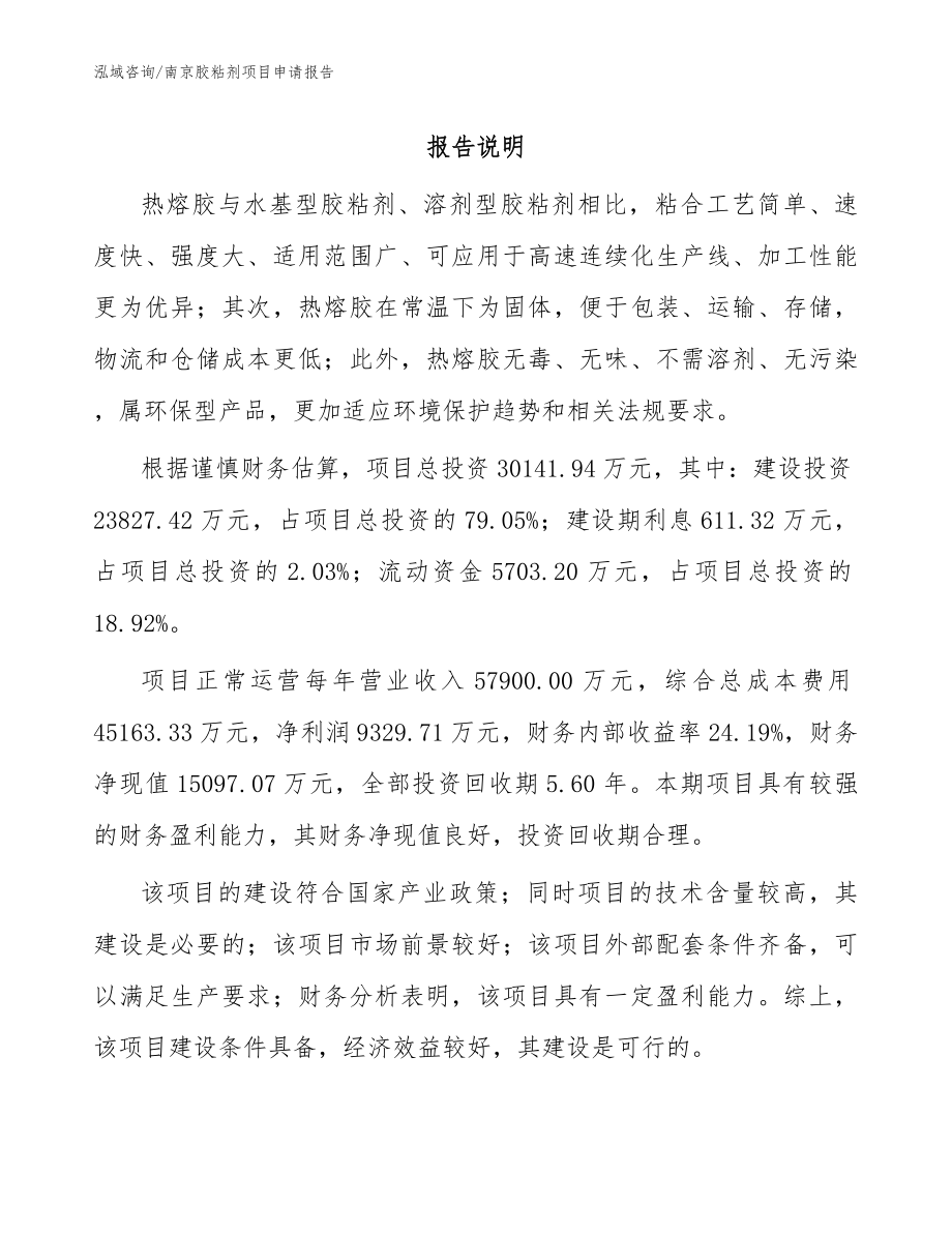 南京胶粘剂项目申请报告_第1页