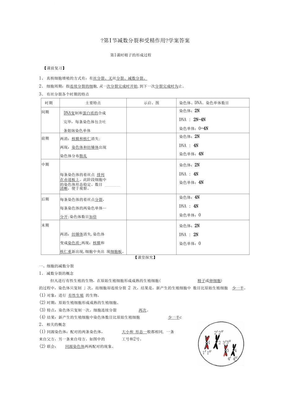 减数分裂答案_第1页