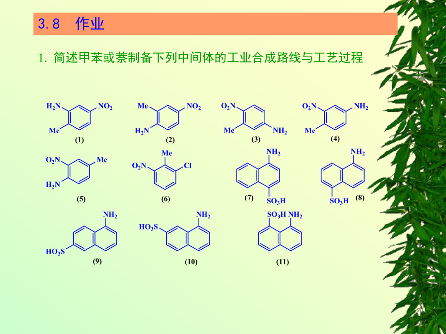 《硝化过程》PPT课件_第1页