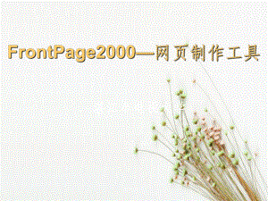FrontPage2000网页制作工具