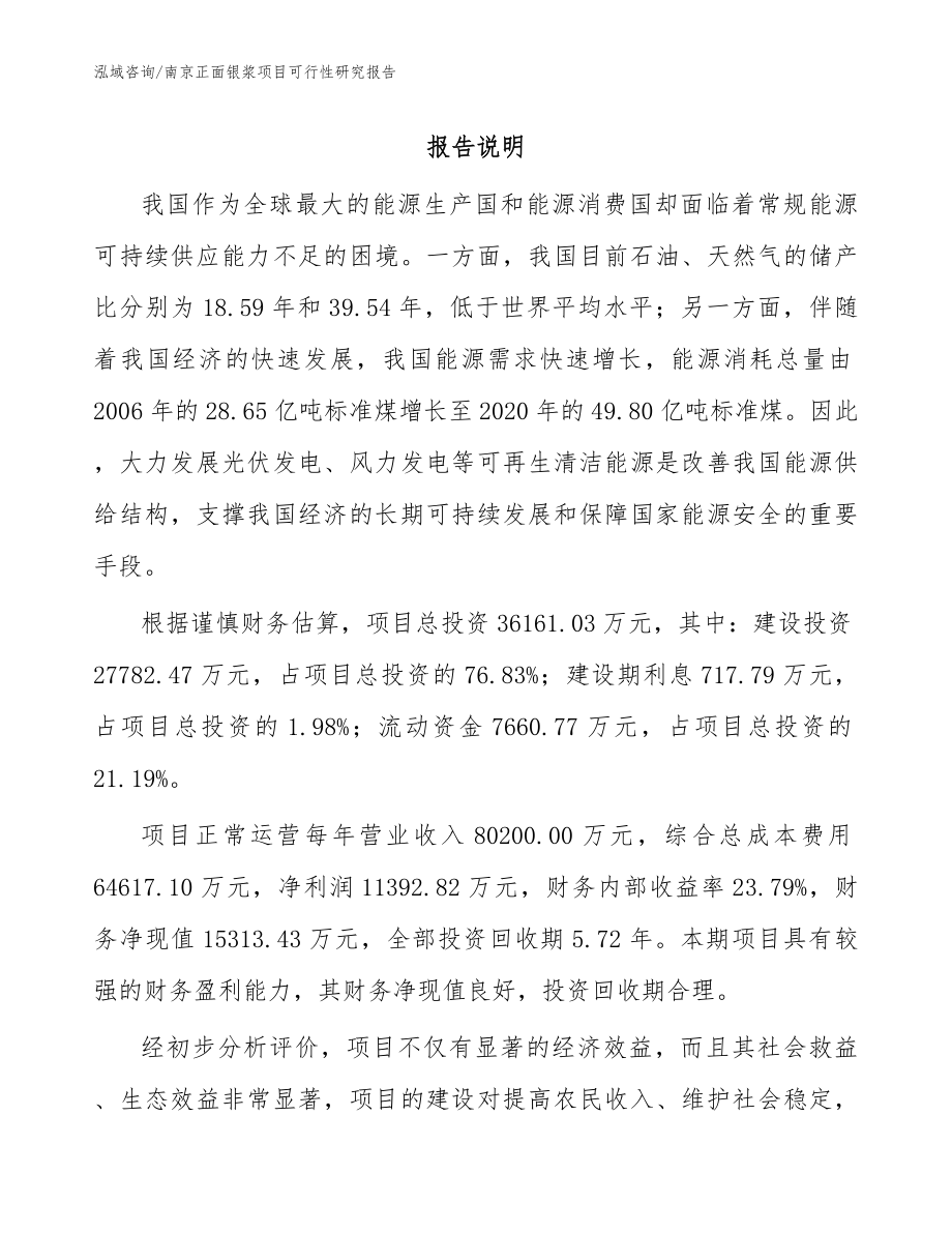 南京正面银浆项目可行性研究报告_第1页