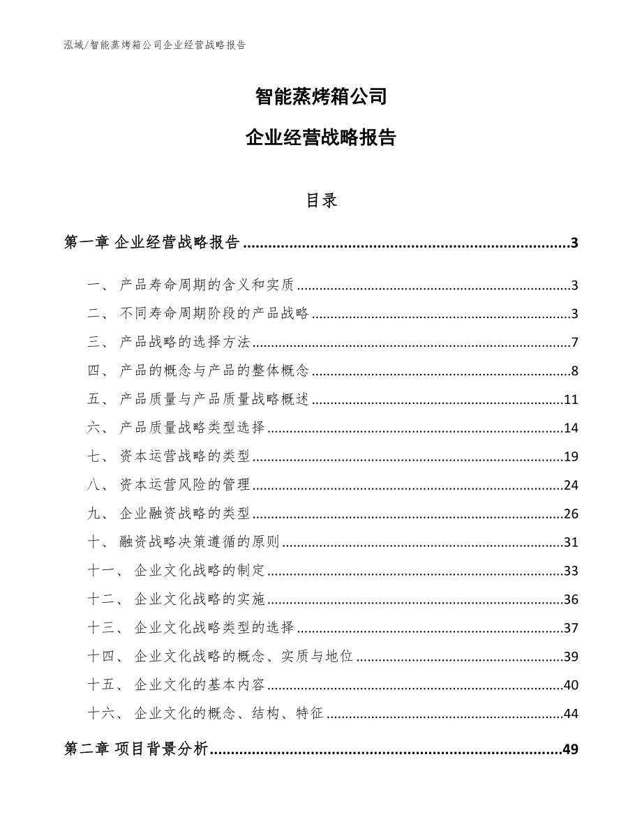 智能蒸烤箱公司企业经营战略报告_范文_第1页