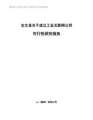 古丈县关于成立工业互联网公司可行性研究报告