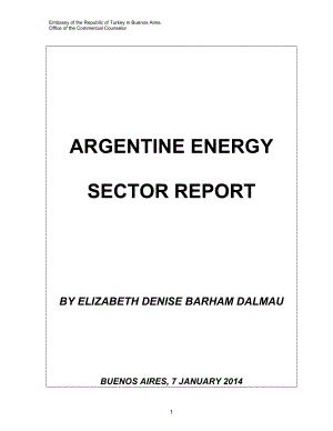 ArgentineEnergySector阿根廷能源部门