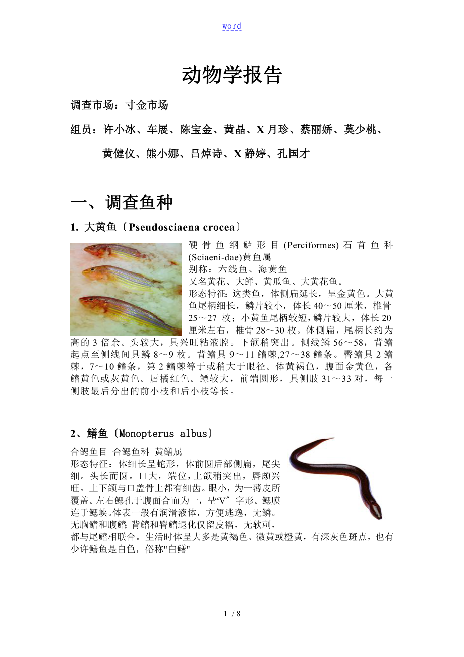 动物学湛江赤坎地鱼地分类_第1页