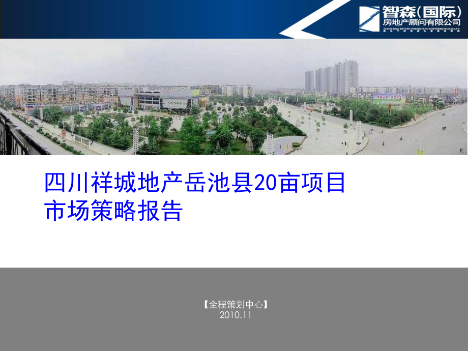 四川祥城地产岳池县20亩项目市场策略报告_第1页