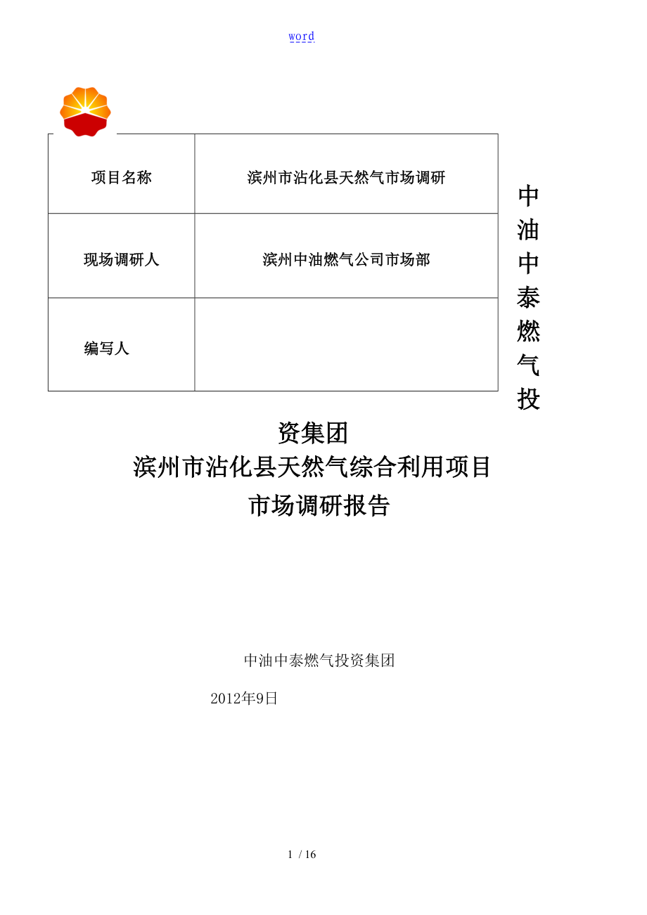 某某县天燃气市场调研报告材料_第1页