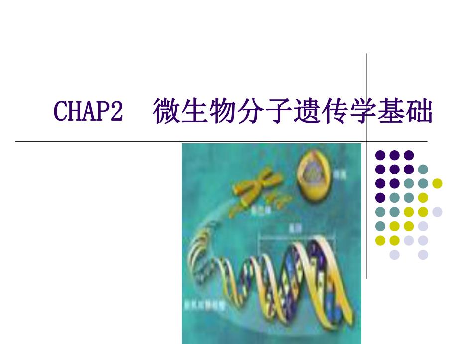 不讲了CHAP2微生物分子遗传_第1页