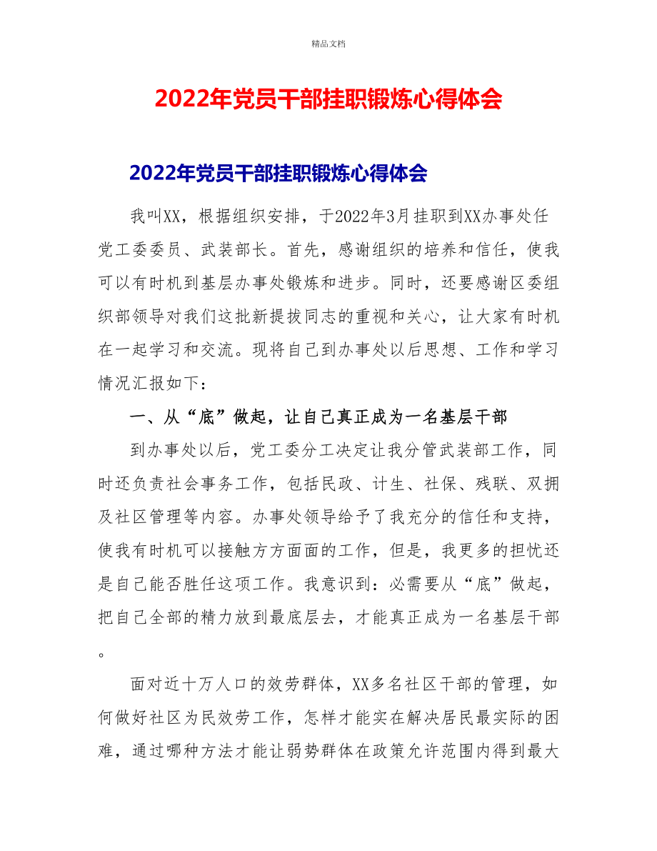 2022年党员干部挂职锻炼心得体会_第1页