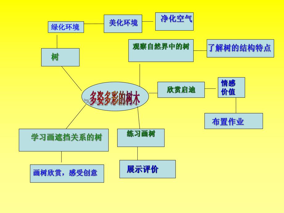 多姿多彩的树木思维导图_第1页