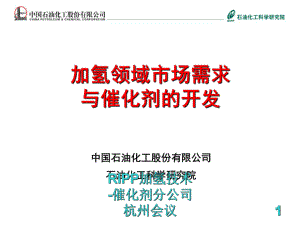 RIPP加氢技术催化剂分公司杭州会议课件