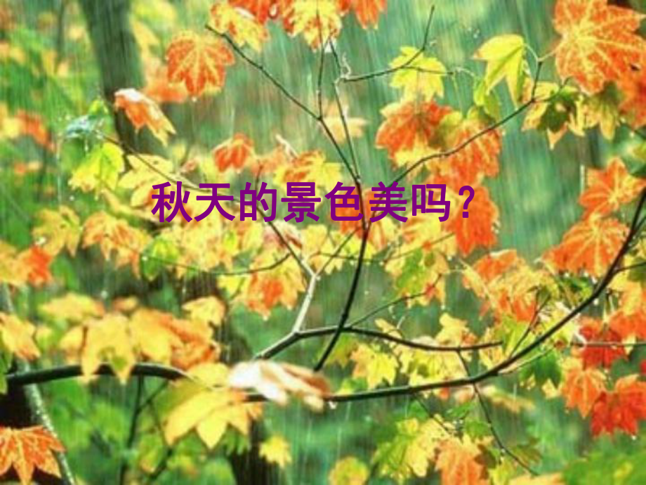 人教版小学语文三年级上册《秋天的雨》PPT课件_第1页