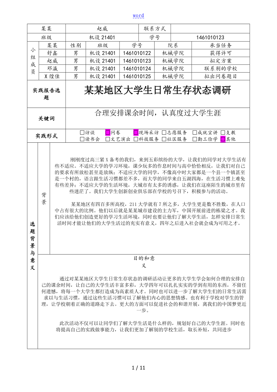 思想政治理论课大学生社会实践策划书_第1页