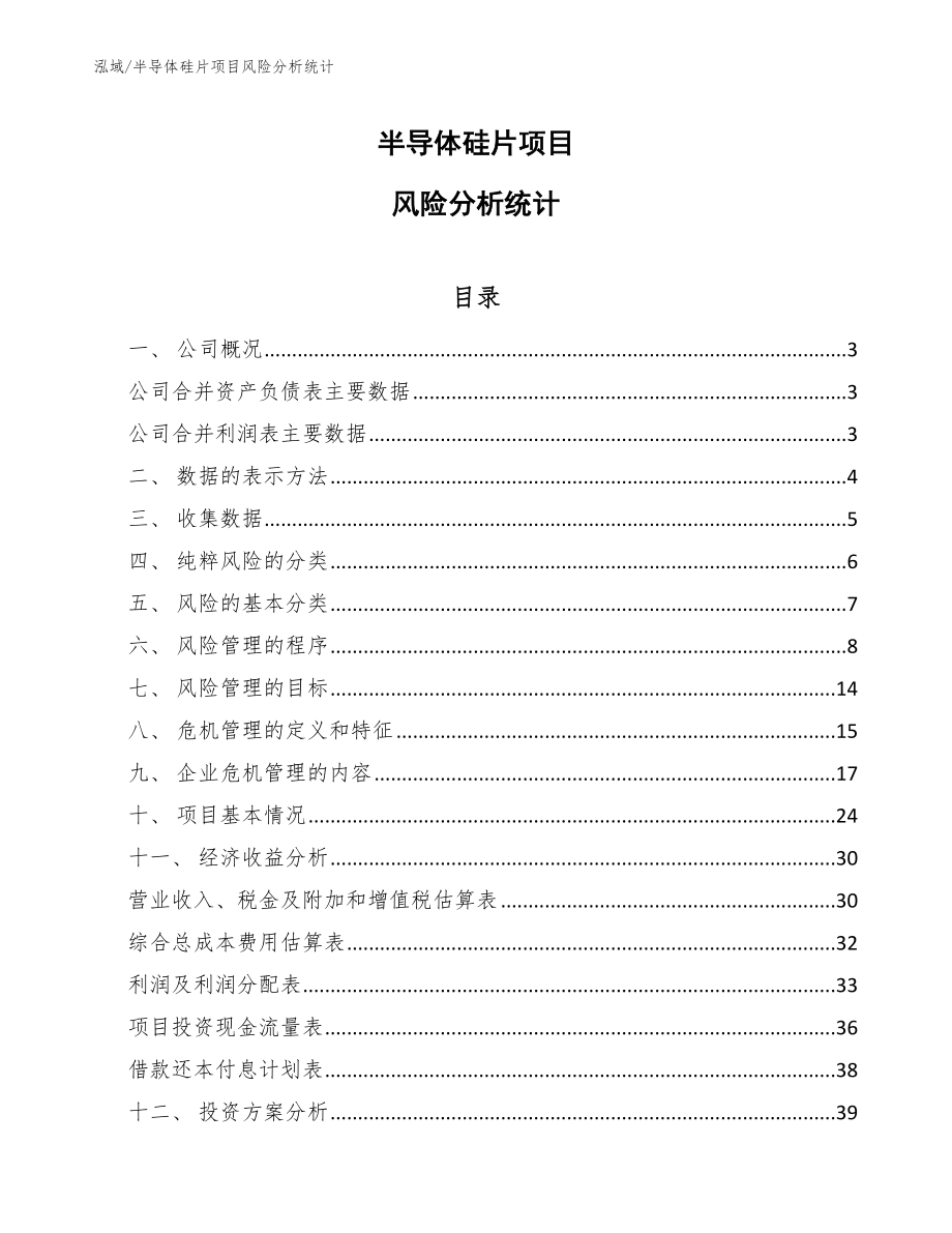 半导体硅片项目风险分析统计【范文】_第1页