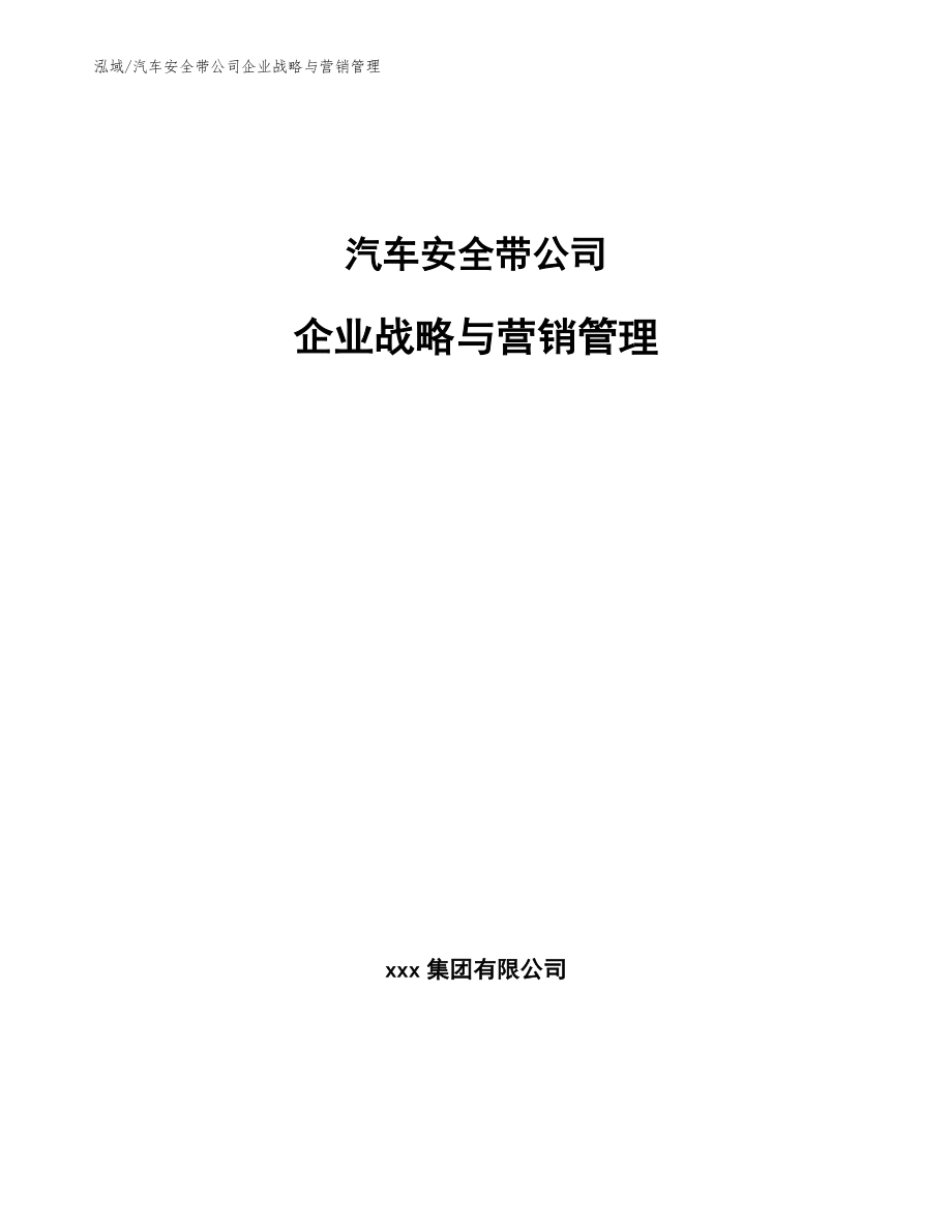 汽车安全带公司企业战略与营销管理【范文】_第1页