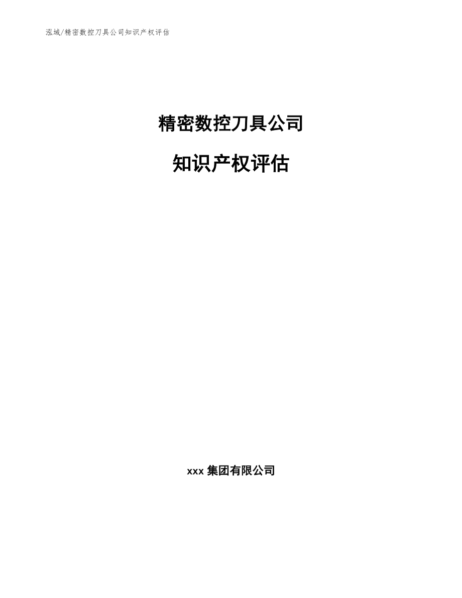 精密数控刀具公司知识产权评估（范文）_第1页