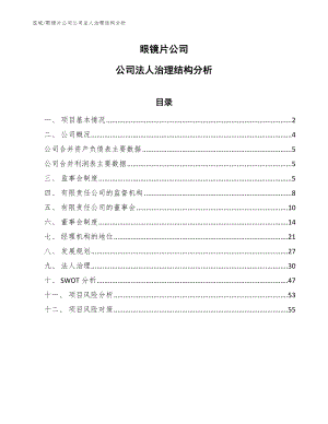 卤制食品公司国际商务运营 (5)