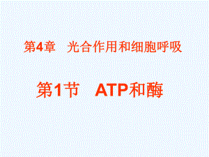 第4章第1节 ATP和酶 苏教版必修1