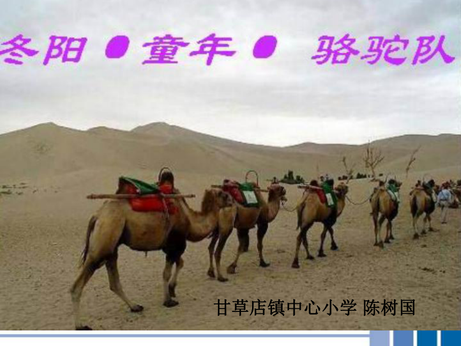 冬阳童年骆驼队课件(PPT_23页) (2)_第1页