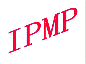 IPMP培训第二部分项目组织与团队