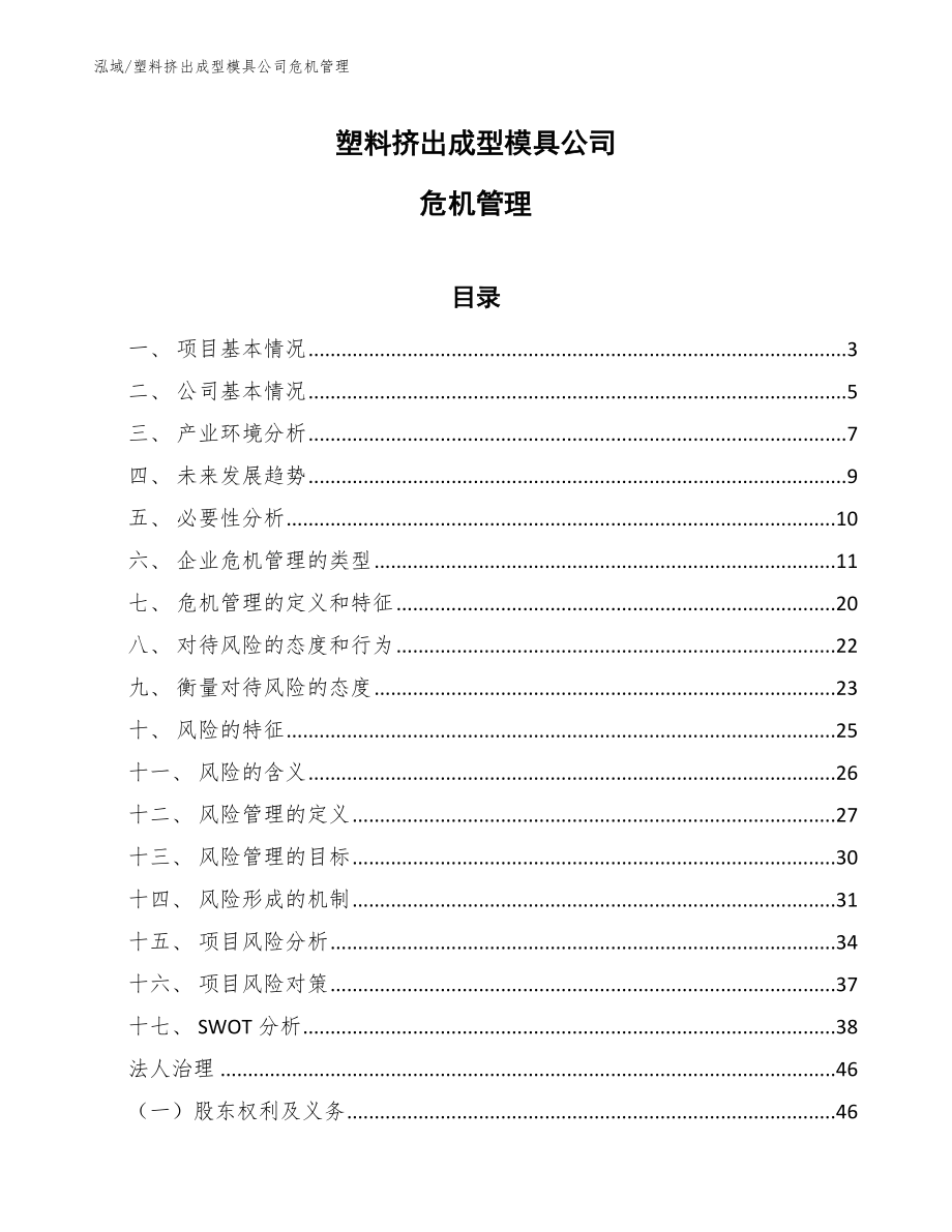 塑料挤出成型模具公司内部风险抑制分析（参考）_第1页