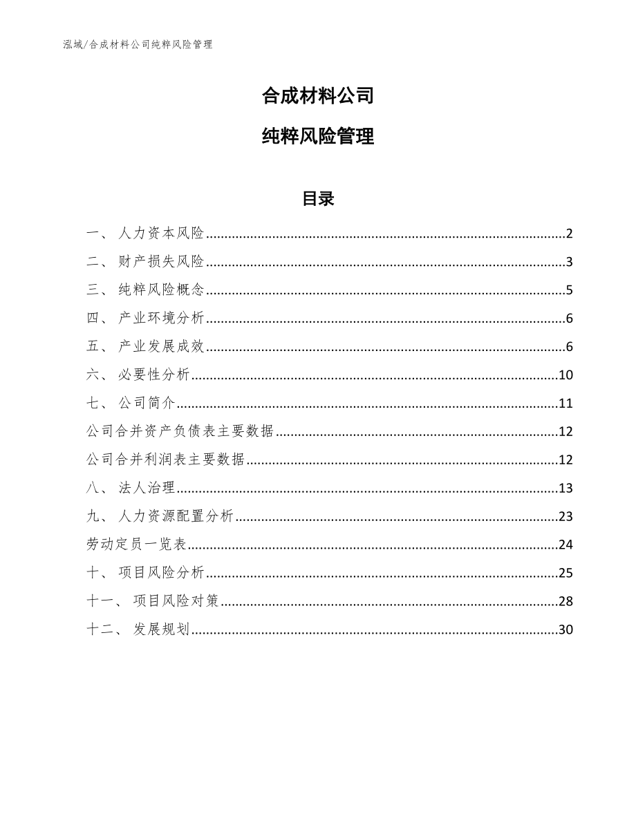 合成材料公司纯粹风险管理【范文】_第1页