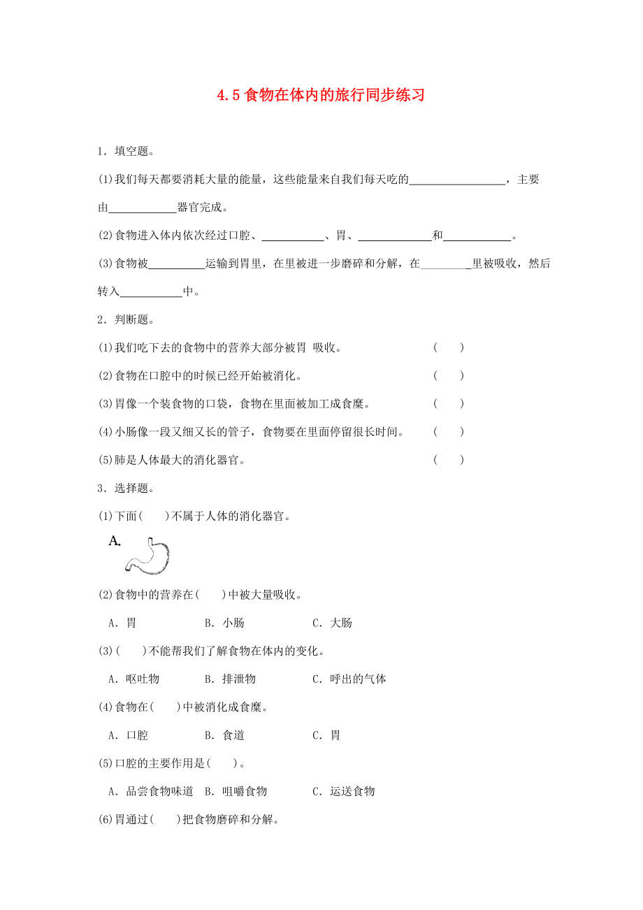 四年级科学上册4.5食物在体内的旅行练习教科版教科版小学四年级上册自然科学试题_第1页