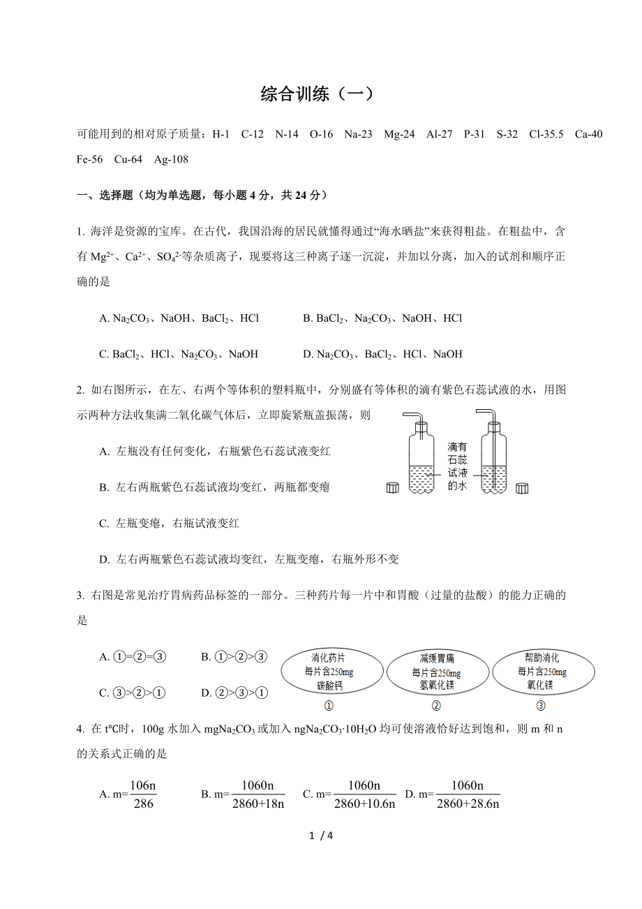 綜合訓(xùn)練（一）滬教版（上海）九年級(jí)第二學(xué)期化學(xué)練習(xí)_第1頁(yè)