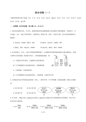 綜合訓練（一）滬教版（上海）九年級第二學期化學練習