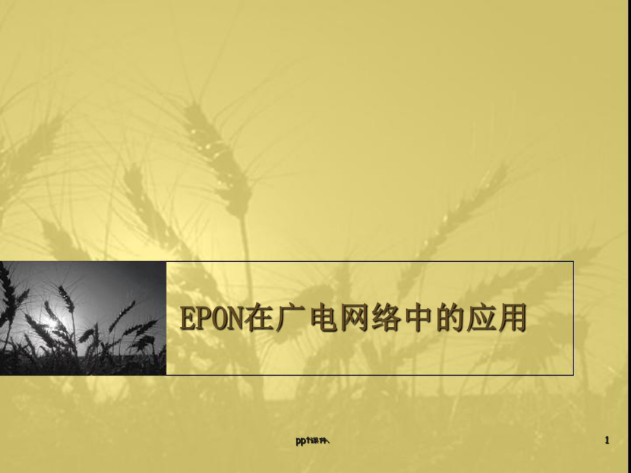 EPON在广电网络中的应用ppt课件_第1页