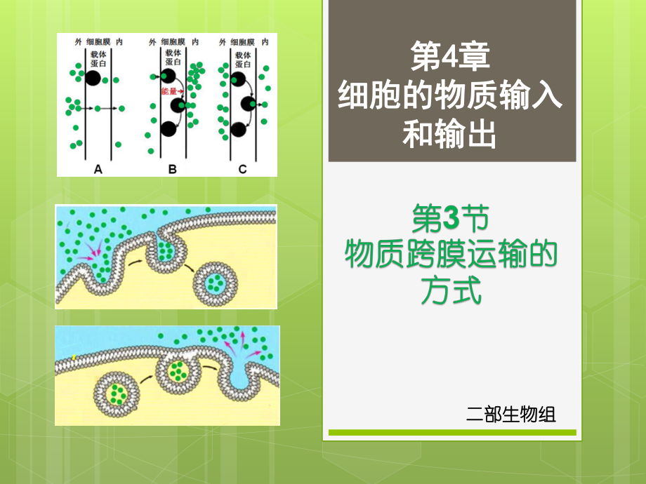 跨膜运输方式PPT30页_第1页