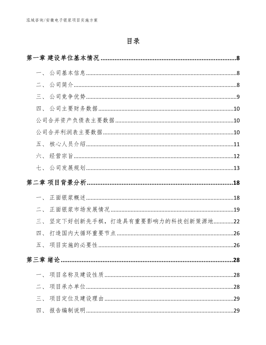 安徽电子银浆项目实施方案_第1页