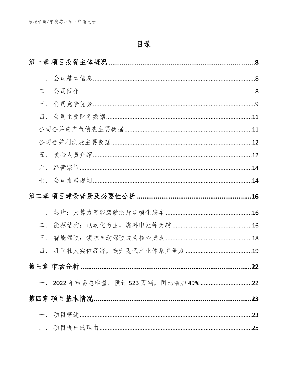 宁波芯片项目申请报告_第1页