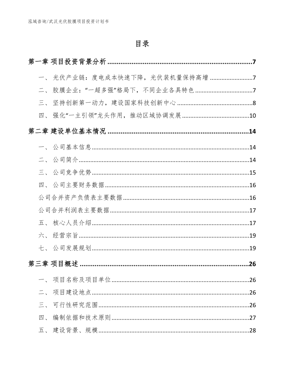 武汉光伏胶膜项目投资计划书_第1页
