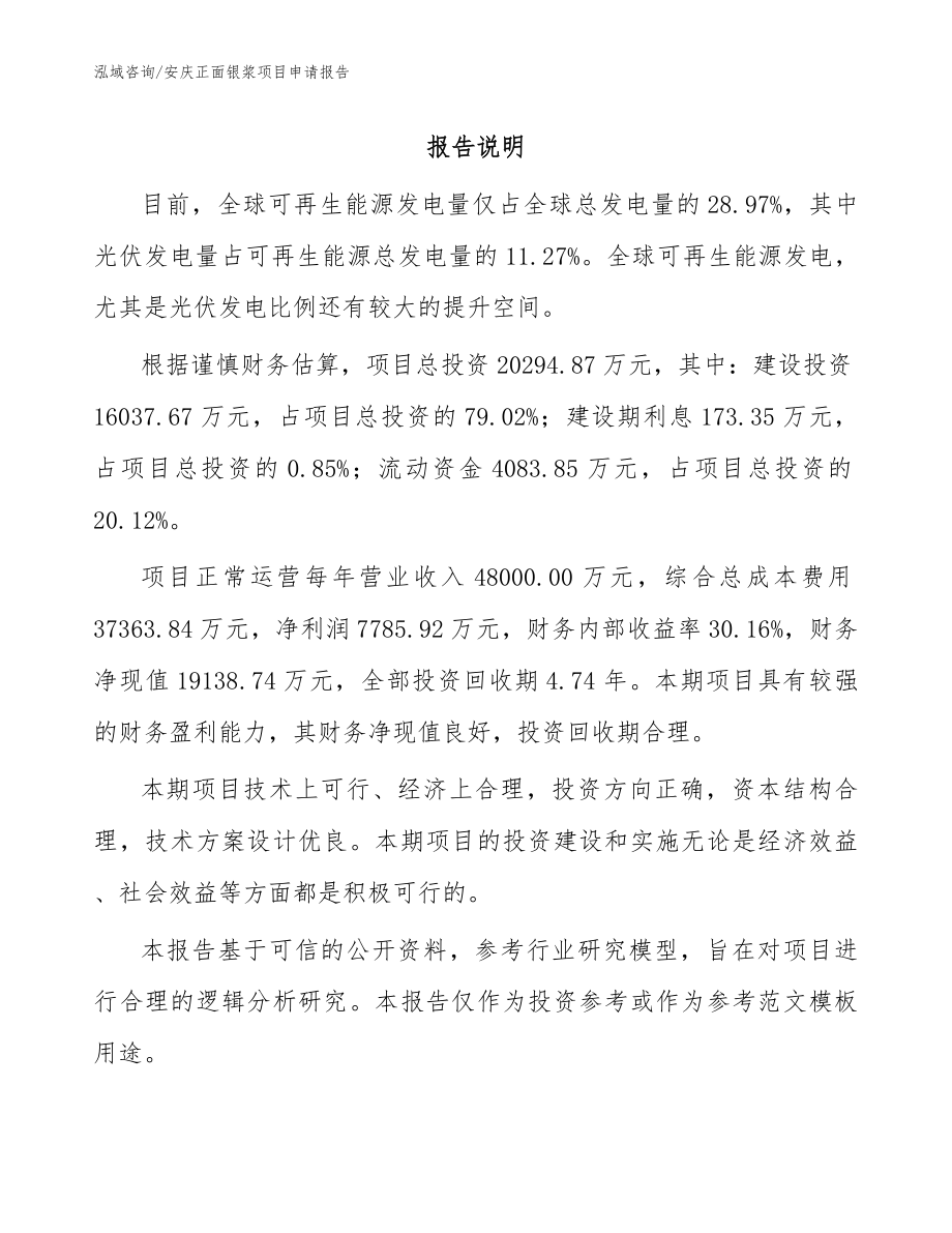 安庆正面银浆项目申请报告_模板范本_第1页