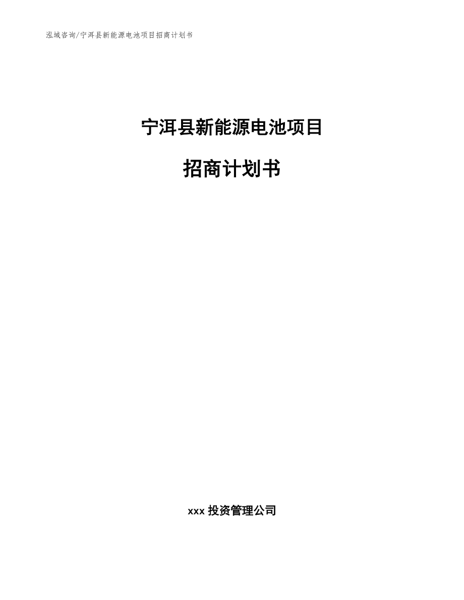 宁洱县新能源电池项目招商计划书模板_第1页
