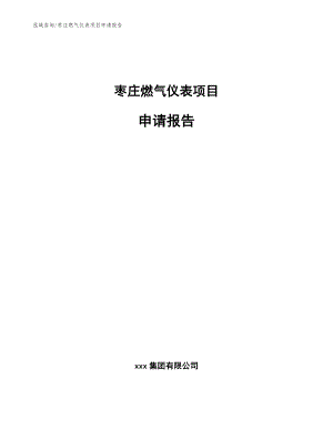 枣庄燃气仪表项目申请报告【范文模板】