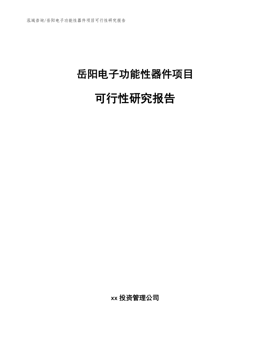 岳阳电子功能性器件项目可行性研究报告模板参考_第1页