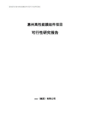 惠州高性能膜组件项目可行性研究报告
