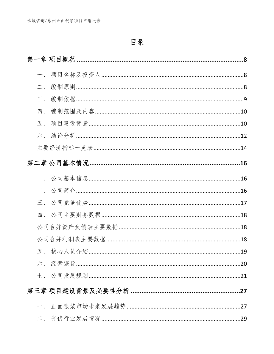 惠州正面银浆项目申请报告_模板参考_第1页