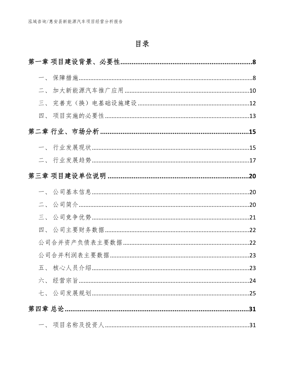 惠安县新能源汽车项目经营分析报告_模板范文_第1页