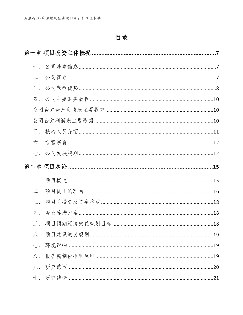 宁夏燃气仪表项目可行性研究报告（范文）_第1页