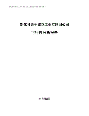 新化县关于成立工业互联网公司可行性分析报告