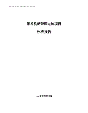 景谷县新能源电池项目分析报告_参考范文